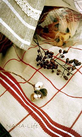 IMAG7742-3 IMAG7742-3