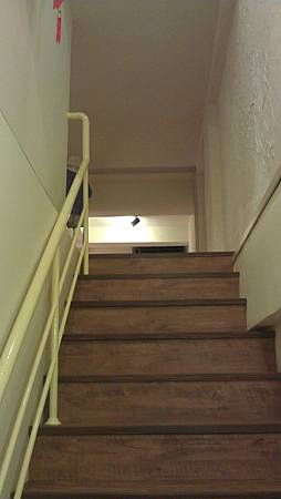 東海森林系4 東海森林系4