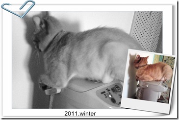 20111206483 20111206483