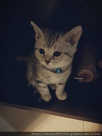 2013-01-06-15-47-54_deco