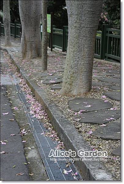 _DSC4868.JPG _DSC4868.JPG