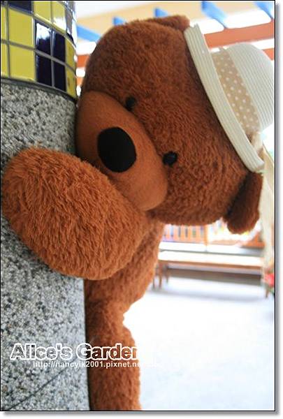 IMG_9524.JPG IMG_9524.JPG