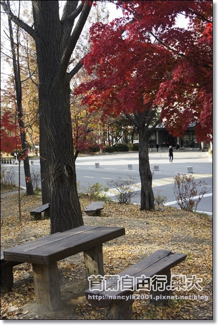 _DSC4087.JPG _DSC4087.JPG