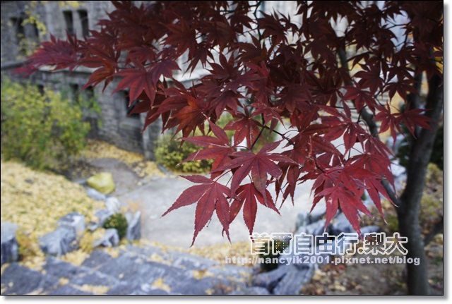 _DSC4074.JPG _DSC4074.JPG