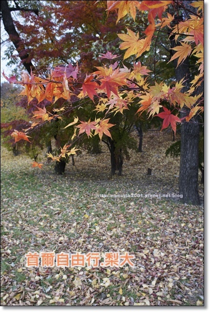 _DSC4076.JPG _DSC4076.JPG