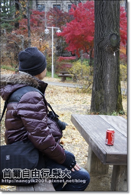 _DSC4081.JPG _DSC4081.JPG