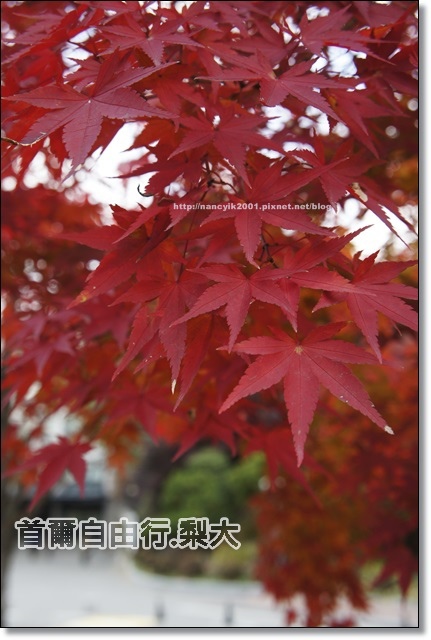 _DSC4083.JPG _DSC4083.JPG