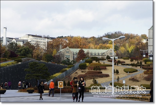 _DSC4090.JPG _DSC4090.JPG