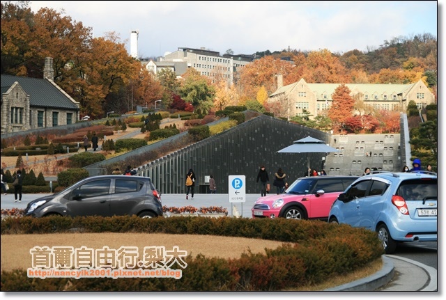 IMG_9065.JPG IMG_9065.JPG