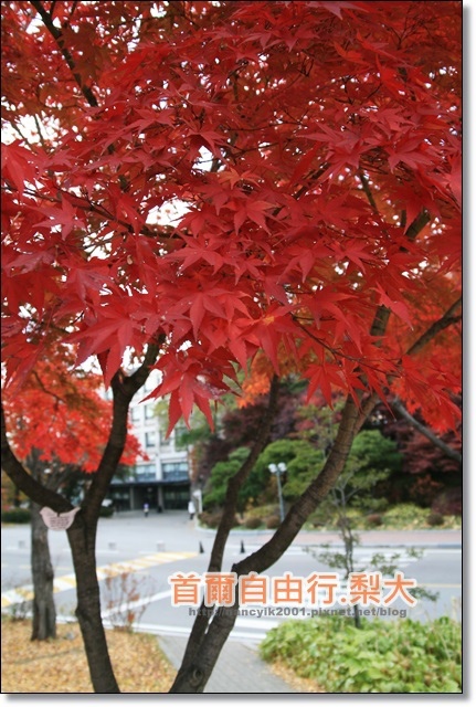 IMG_9101.JPG IMG_9101.JPG