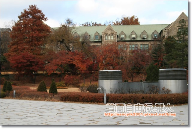 IMG_9082.JPG IMG_9082.JPG