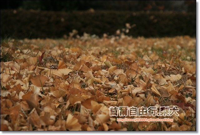 IMG_9096.JPG IMG_9096.JPG