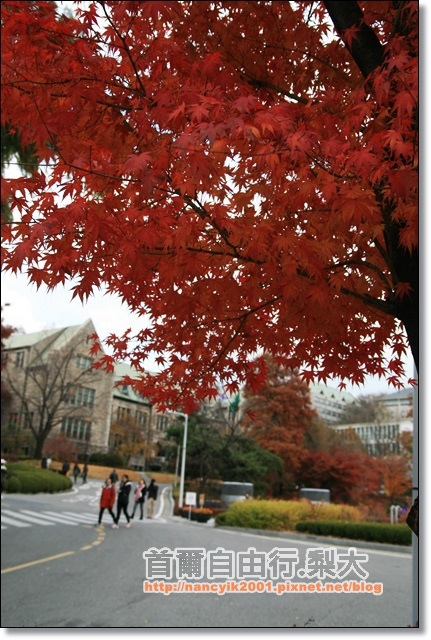 IMG_9098.JPG IMG_9098.JPG