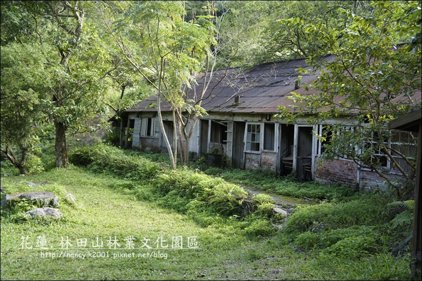 _DSC0563.JPG _DSC0563.JPG