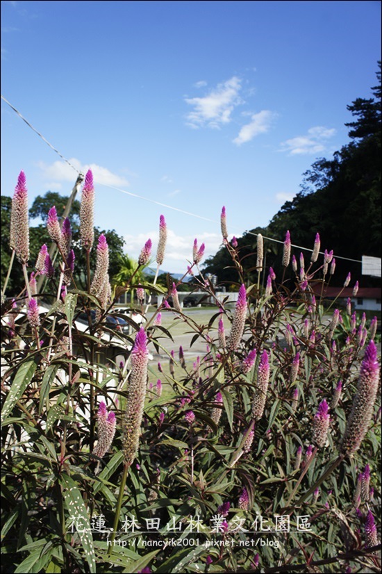 _DSC0568.JPG _DSC0568.JPG