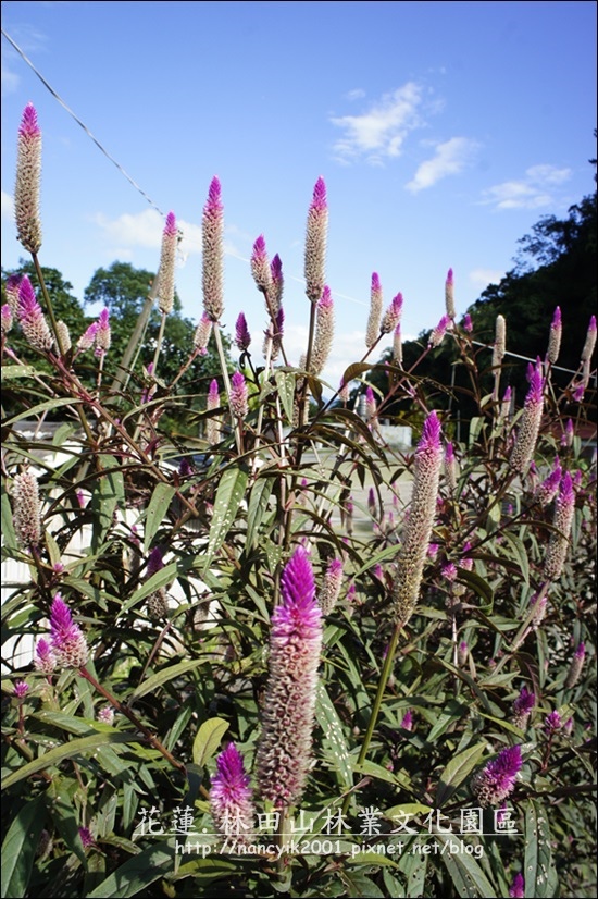 _DSC0569.JPG _DSC0569.JPG