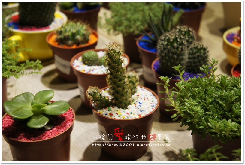 _DSC4214.JPG _DSC4214.JPG