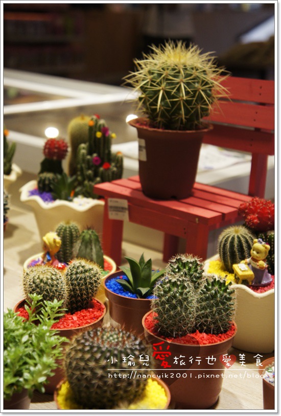 _DSC4215.JPG _DSC4215.JPG