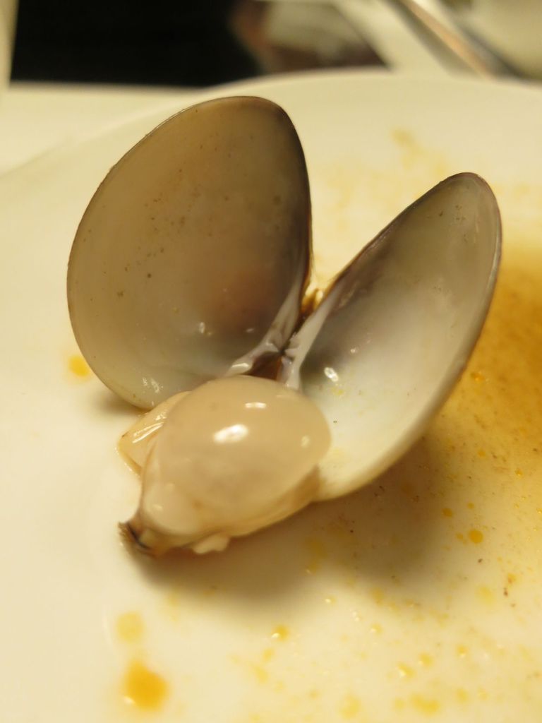 IMG_1147.JPG IMG_1147.JPG