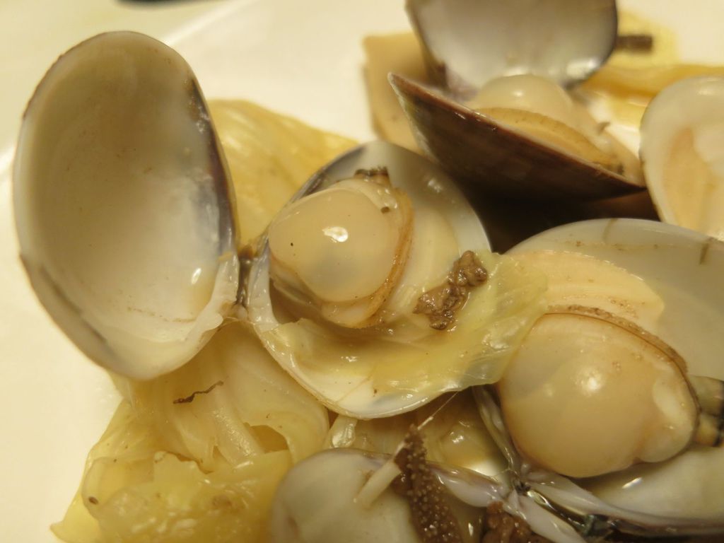 IMG_1155.JPG IMG_1155.JPG