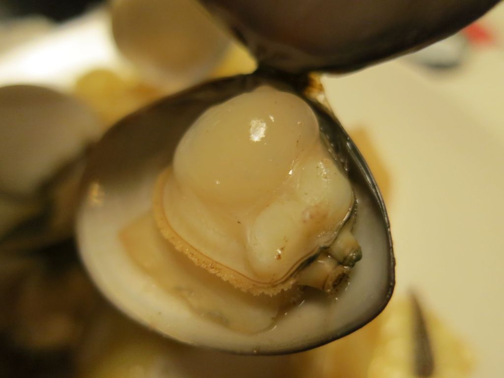 IMG_1159.JPG IMG_1159.JPG