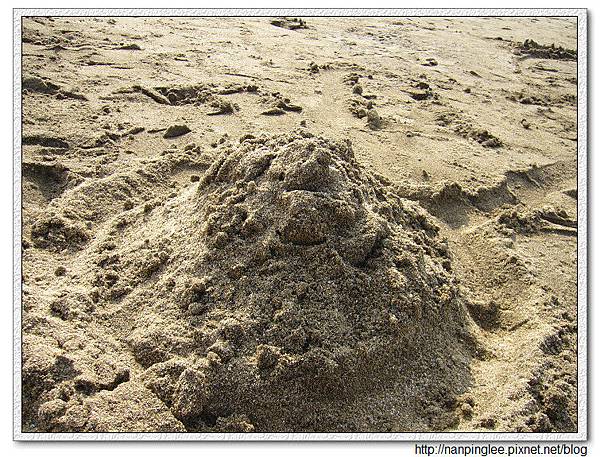 P1110659.jpg P1110659.jpg