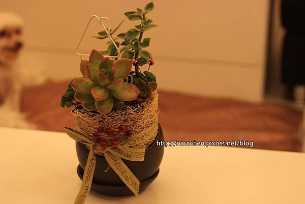 0604 005.jpg 0604 005.jpg