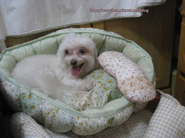 0611 017.jpg 0611 017.jpg