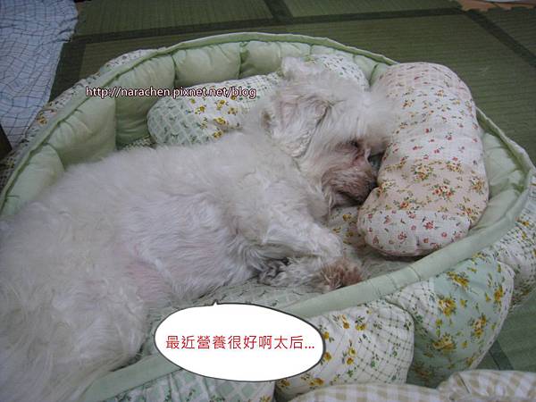 0611 018.jpg 0611 018.jpg