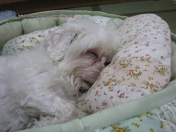 0611 021.jpg 0611 021.jpg