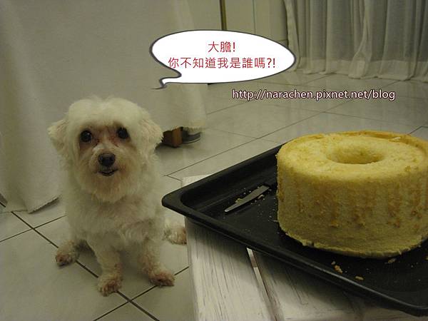 0618 008.jpg 0618 008.jpg