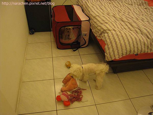 0627 005.jpg 0627 005.jpg