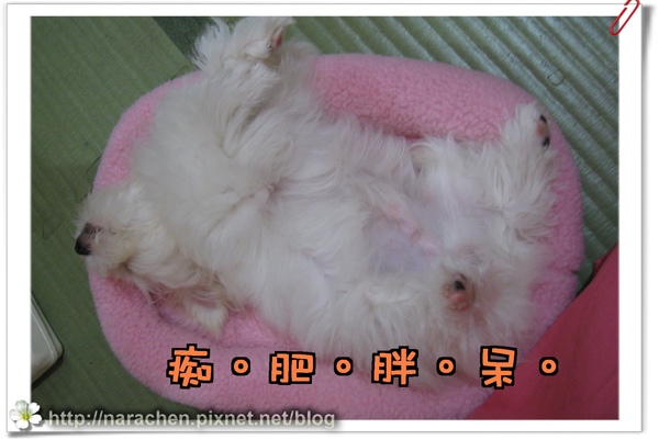 0511200900426 083.jpg 0511200900426 083.jpg