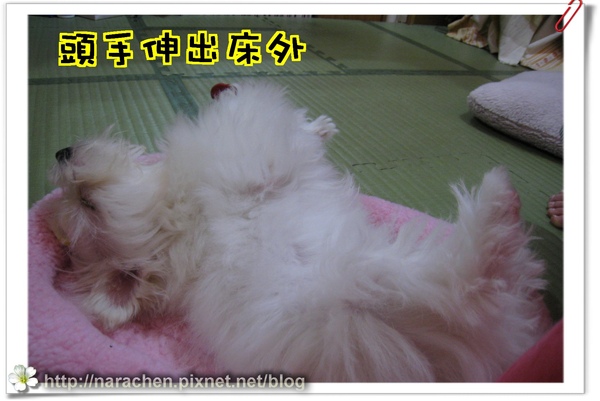 0511200900426 079.jpg