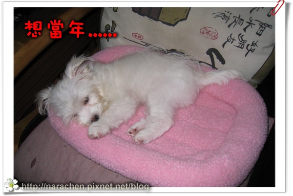 0511090219 101.jpg 0511090219 101.jpg