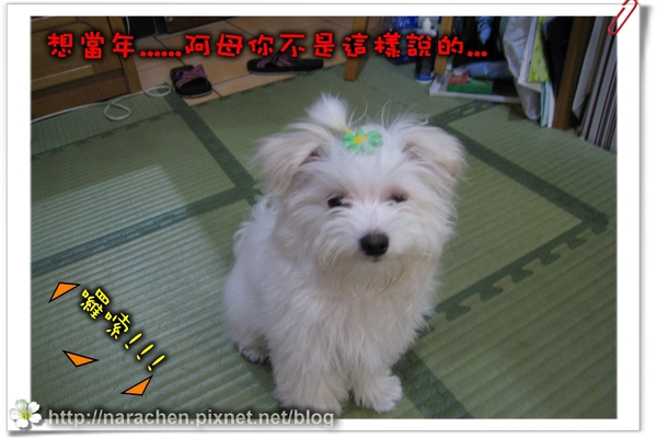 0511200900426 084.jpg 0511200900426 084.jpg