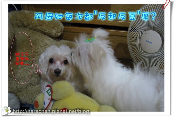 0511200900426 087.jpg