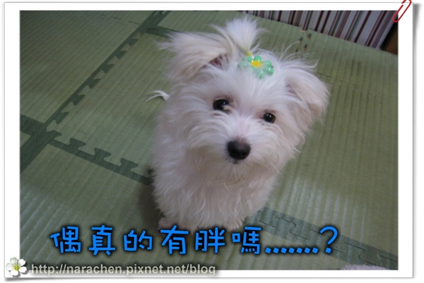 0511200900426 088.jpg 0511200900426 088.jpg