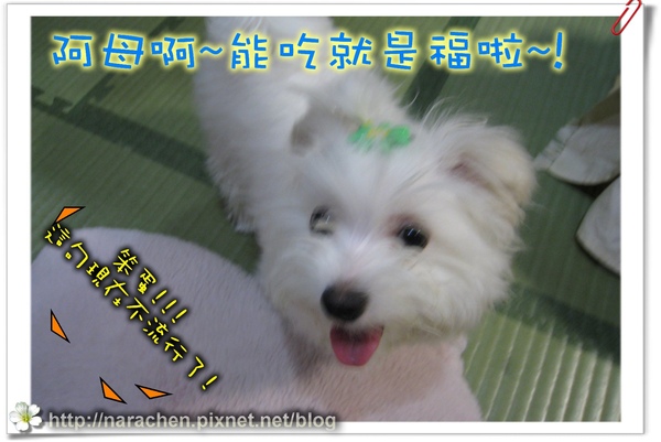 0511200900426 085.jpg 0511200900426 085.jpg