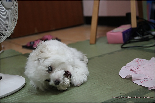 04070529 123.jpg 04070529 123.jpg