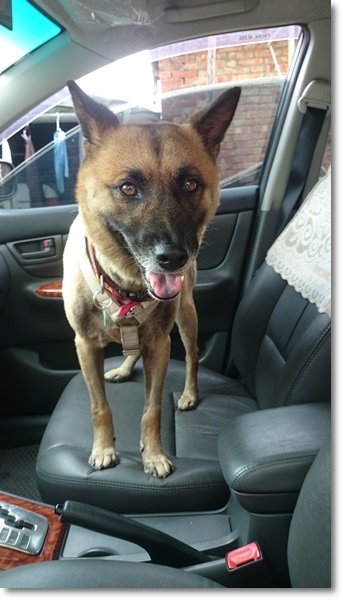 DSC_1972.JPG DSC_1972.JPG