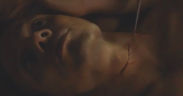 第五季013 第五季013