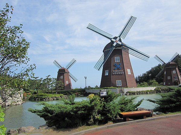 IMG_01141.jpg IMG_01141.jpg