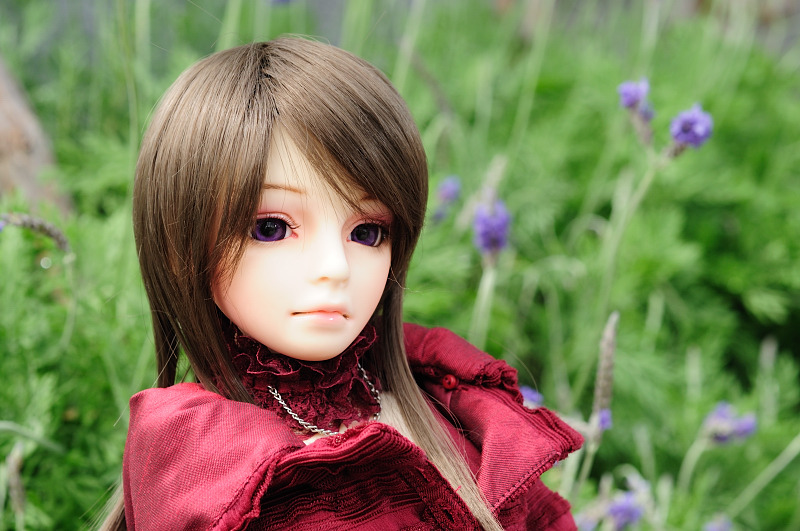 DSC_5162.JPG DSC_5162.JPG