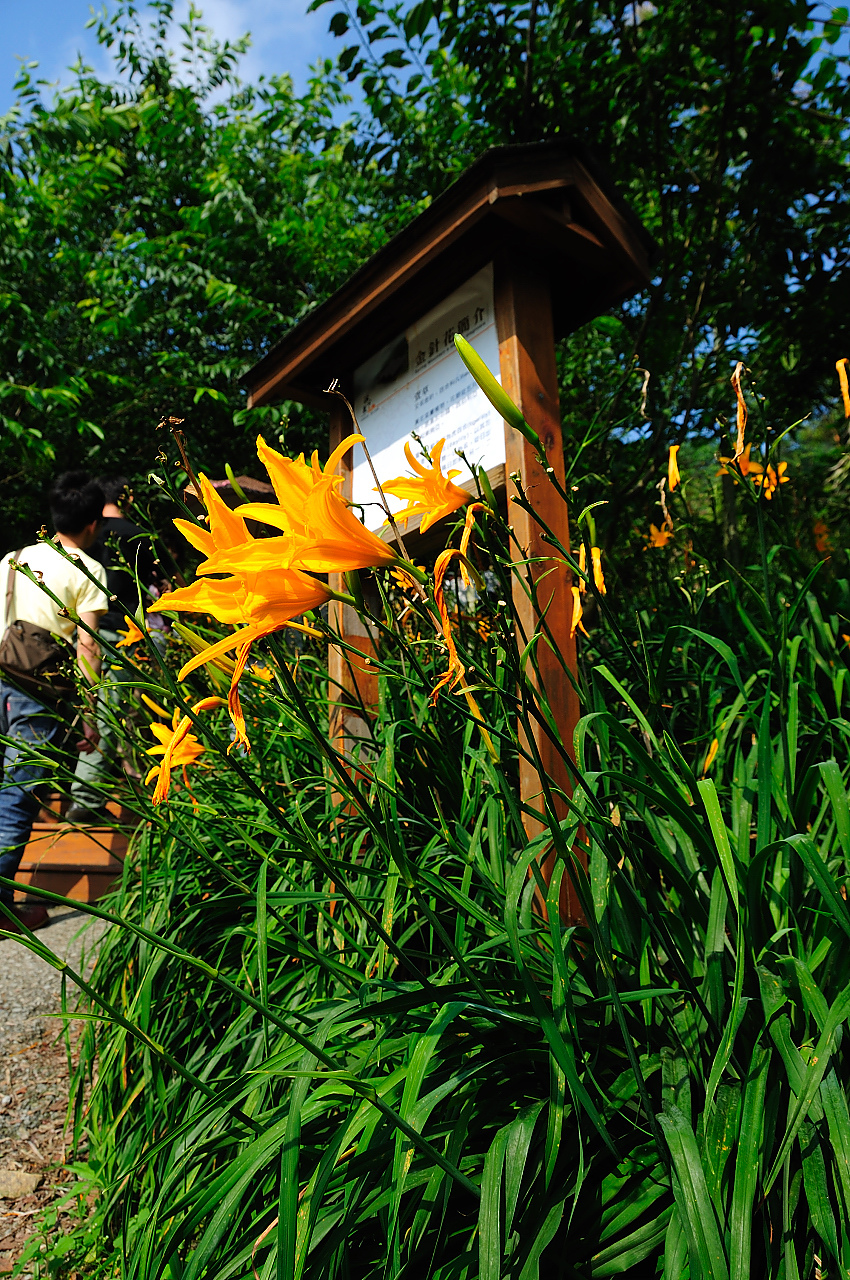 DSC_7222.JPG DSC_7222.JPG