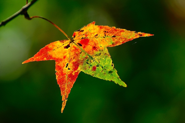 DSC_2082.JPG DSC_2082.JPG