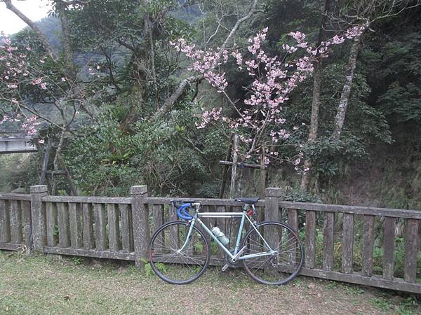 166後段-16.JPG 166後段-16.JPG