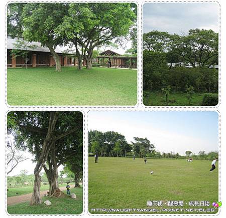 八德埤塘02.jpg 八德埤塘02.jpg