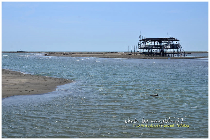 外傘頂洲14.jpg 外傘頂洲14.jpg