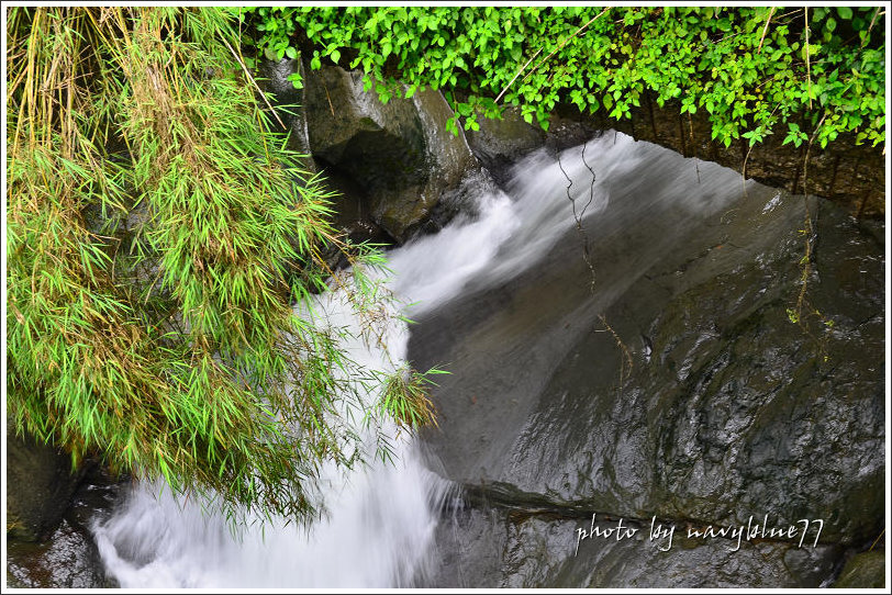 獨立山古道09.jpg